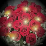 IRIS 20朵玫瑰花束-加贈閃耀燈串