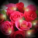 情人節送花推薦 11朵玫瑰花束-加贈閃耀燈串