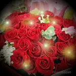 33朵紅玫瑰百合花束 台北花店送花-加贈閃耀燈串