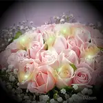 花束 情人節送花粉玫瑰33朵-加贈閃耀燈串