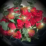 33朵玫瑰花束送台中-加贈閃耀燈串