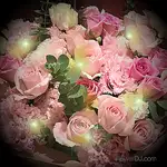 22朵玫瑰花束 台中送花-加贈閃耀燈串