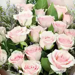 長型粉玫瑰花束18朵 花店送花