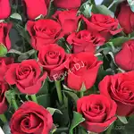 長型紅玫瑰花束20朵 花店送花