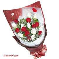 �L�����R_20���i�f�������
