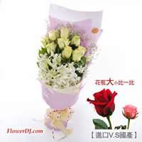 ������F_9���i�f�������