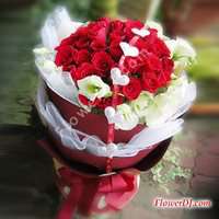 �d�R���W_33������