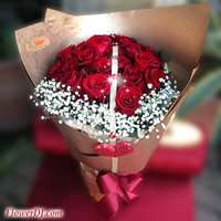 �n��Ǳ�_33��������