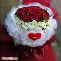 �o�{�u�R101_33������