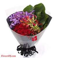 �M�A�y�b_�зN�]�p