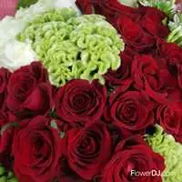白玫瑰與紅玫瑰_33朵混色玫瑰花束