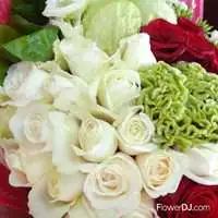 白玫瑰與紅玫瑰_33朵混色玫瑰花束