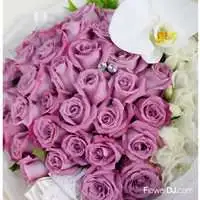紫有為你_33朵紫玫瑰花束