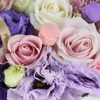 母親節盆花推薦-紫色溫情-母親節 禮物