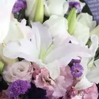 紫色迷離-白玫百合花束