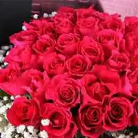 緋紅之戀-33朵玫瑰花束
