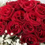 紅心皇后-20朵紅玫花束