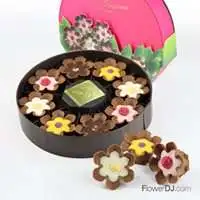 熱戀摯愛-金莎花束+Divalife花朵巧克力