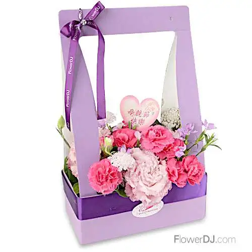 提起幸福-康乃馨花盒