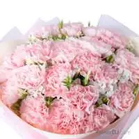 春光灩然-20朵康乃馨花束送台灣皂