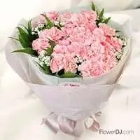 法式浪漫康乃馨花束
