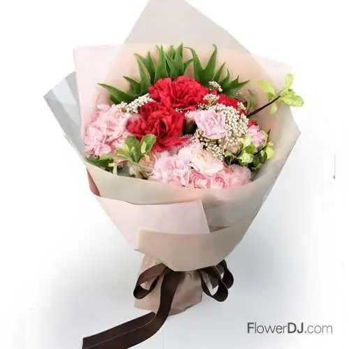 馨飛揚-康乃馨花束-母親節 禮物