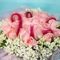 蒂芬妮的獨白-20朵粉玫瑰花束
