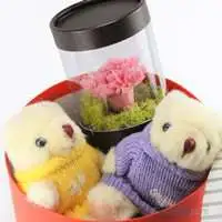 溫馨小熊的祝福-花盒