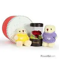 溫馨小熊的祝福-紅康乃馨不凋花盒