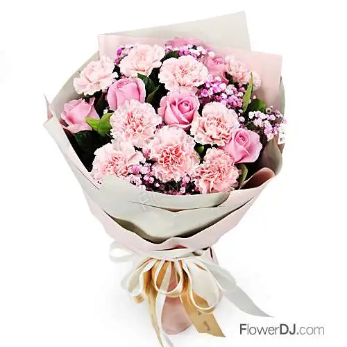 送康乃馨花束-純心-母親節 禮物