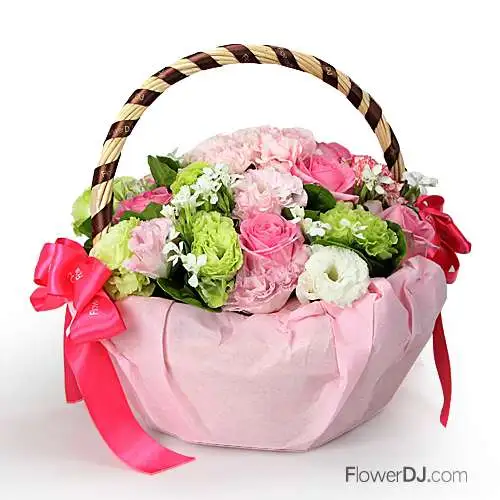 康乃馨提籃花-提出真馨-母親節 禮物