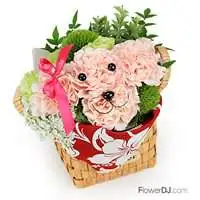 日系狗狗康乃馨小型盆花-送台北-母親節 禮物