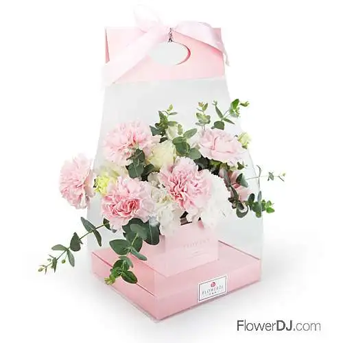 母親節送花-康乃馨提盒-母親節 活動