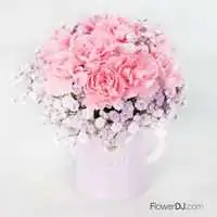 母親節推薦-迷你康乃馨盆花-母親節禮物