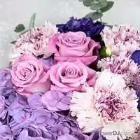 紫愛獻-康乃馨繡球花束送台北-母親節 禮物