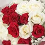 情人節花束推薦-20朵混色玫瑰花束