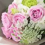 情人節送花 特價推薦7朵粉玫瑰花束