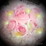 進口粉玫瑰花束 情人節送花-加贈閃耀燈串