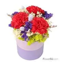 馨花朵朵-香皂康乃馨盆花-母親節 禮物