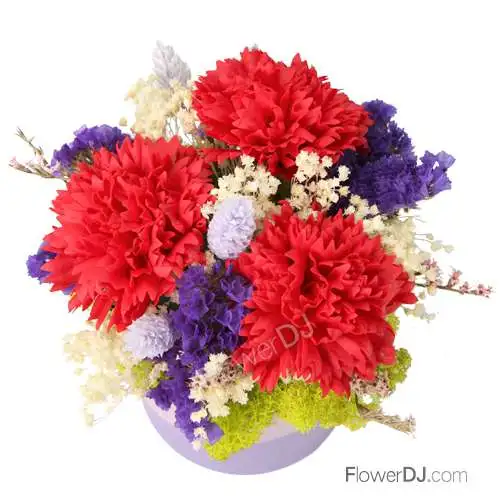 馨花朵朵-香皂康乃馨盆花-母親節 禮物
