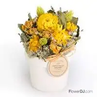 向陽的祝福-乾燥花盆花