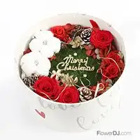 閃耀的聖誕-發光不凋花盒