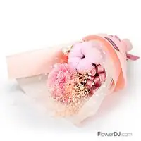不凋花康乃馨花束-粉色小兔(非鮮花)-母親節 禮物