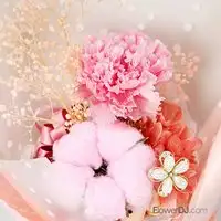 不凋花康乃馨花束-粉色小兔(非鮮花)-母親節 禮物