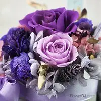 紫色夢幻-不凋花