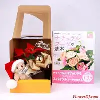 【聖誕交換禮物】聖誕紅+小熊布偶